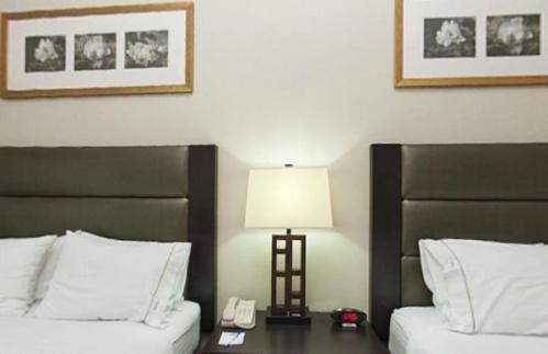 Holiday Inn Express Hotel & Suites Ottawa Airport By Ihg Номер фото